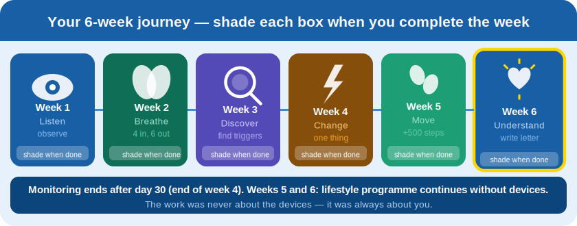 6-week journey timeline: Week 1 Listen, Week 2 Breathe, Week 3 Discover, Week 4 Change, Week 5 Move, Week 6 Understand.